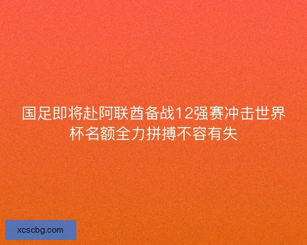 国足即将赴阿联酋备战12强赛冲击世界杯名额全力拼搏不容有失