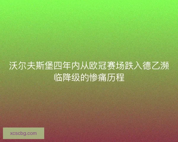 沃尔夫斯堡四年内从欧冠赛场跌入德乙濒临降级的惨痛历程