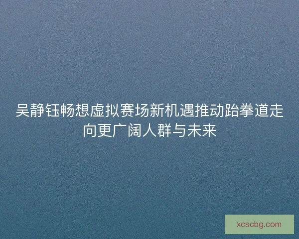 吴静钰畅想虚拟赛场新机遇推动跆拳道走向更广阔人群与未来