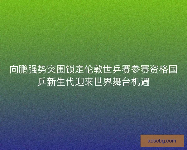 向鹏强势突围锁定伦敦世乒赛参赛资格国乒新生代迎来世界舞台机遇 向鹏强势突围锁定伦敦世乒赛参赛资格国乒新生代迎来世界舞台机遇
