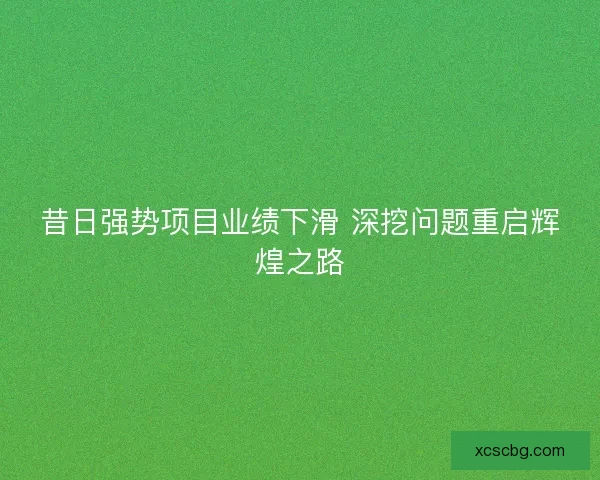 昔日强势项目业绩下滑 深挖问题重启辉煌之路 昔日强势项目业绩下滑 深挖问题重启辉煌之路
