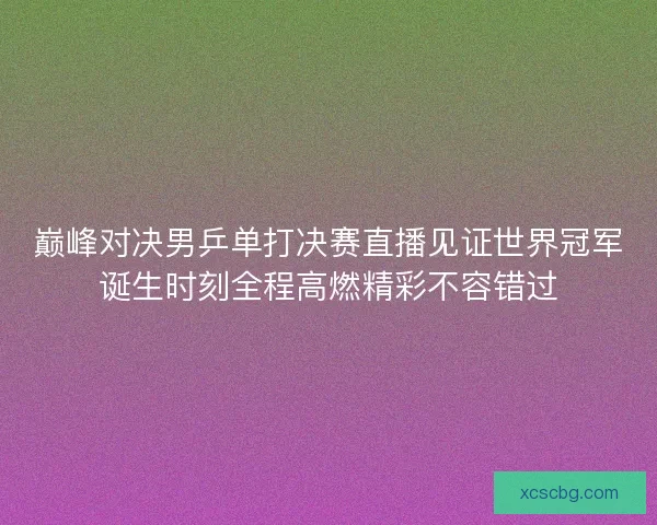 巅峰对决男乒单打决赛直播见证世界冠军诞生时刻全程高燃精彩不容错过